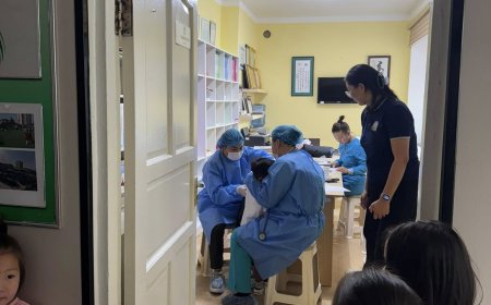 Улирлын томуугийн дархлаажуулалт 2025.09.19